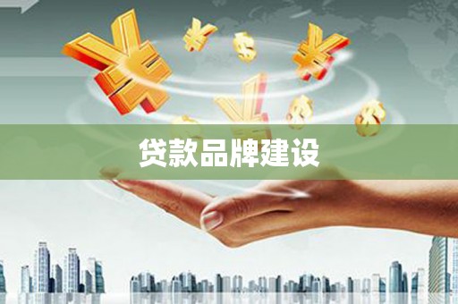 安南贷款品牌建设