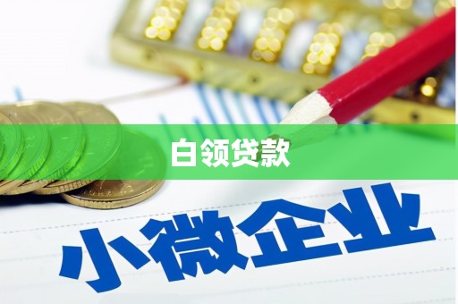 安南白领贷款