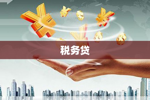 安南税务贷