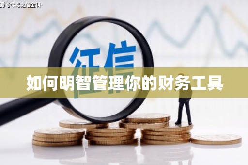 安南如何明智管理你的财务工具