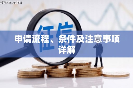 安南申请流程、条件及注意事项详解