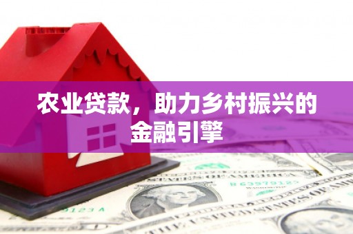 安南农业贷款，助力乡村振兴的金融引擎