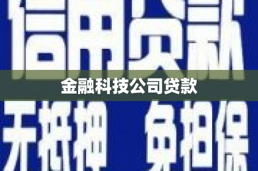 安南金融科技公司贷款