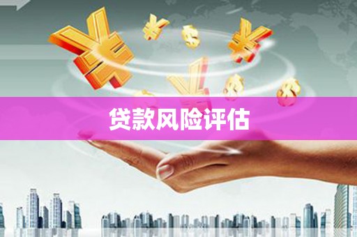 安南贷款风险评估