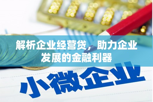 安南解析企业经营贷，助力企业发展的金融利器