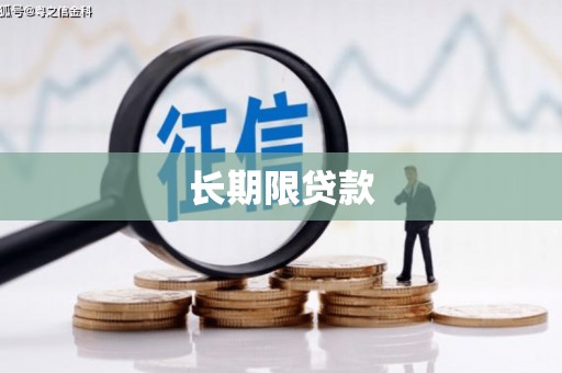 安南长期限贷款