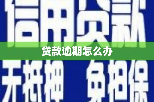 安南贷款逾期怎么办