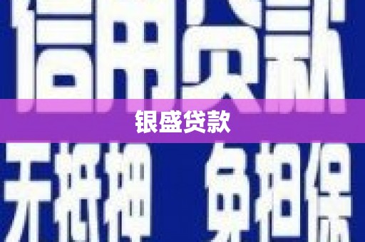 安南银盛贷款