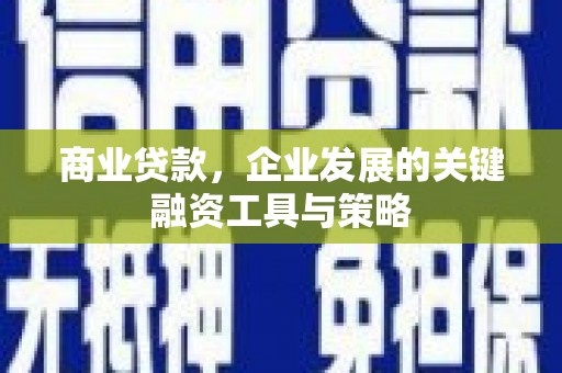 安南商业贷款，企业发展的关键融资工具与策略
