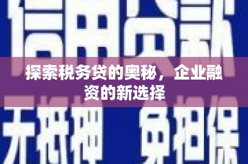 安南探索税务贷的奥秘，企业融资的新选择