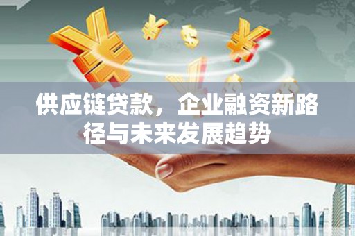 安南供应链贷款，企业融资新路径与未来发展趋势