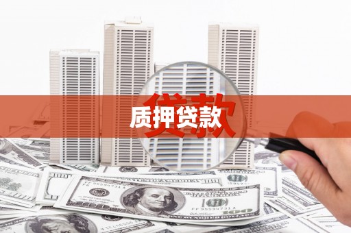 安南质押贷款