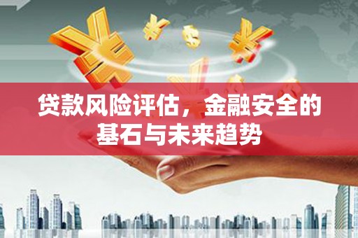 安南贷款风险评估，金融安全的基石与未来趋势