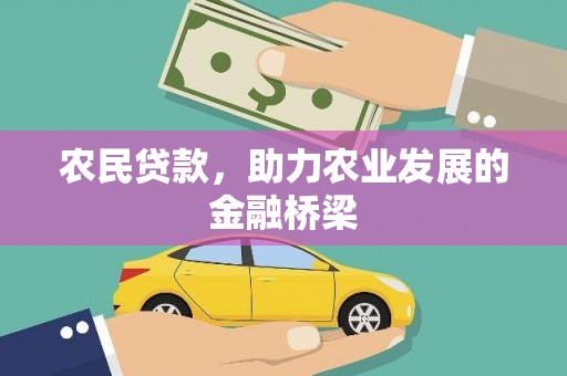安南农民贷款，助力农业发展的金融桥梁