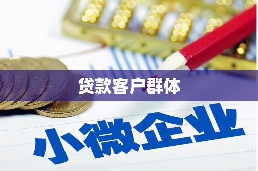 安南贷款客户群体