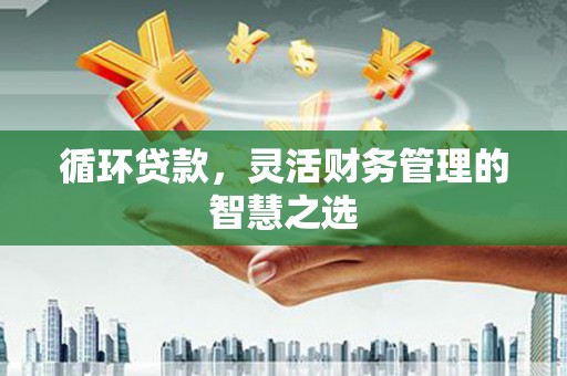 安南循环贷款，灵活财务管理的智慧之选