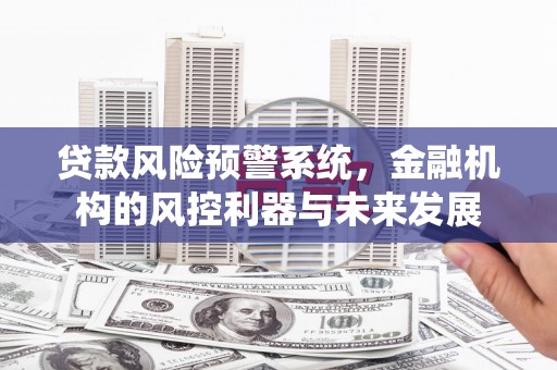 安南贷款风险预警系统，金融机构的风控利器与未来发展