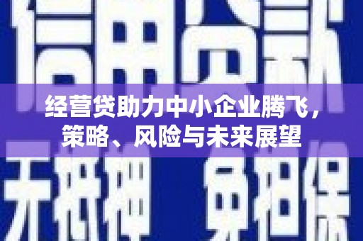 安南经营贷助力中小企业腾飞，策略、风险与未来展望