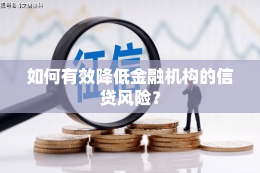 安南如何有效降低金融机构的信贷风险？