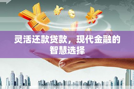 安南灵活还款贷款，现代金融的智慧选择