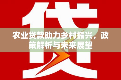 安南农业贷款助力乡村振兴，政策解析与未来展望