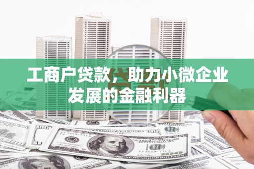 安南工商户贷款，助力小微企业发展的金融利器
