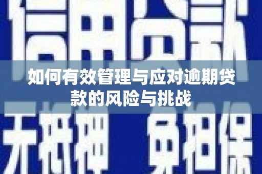 安南如何有效管理与应对逾期贷款的风险与挑战