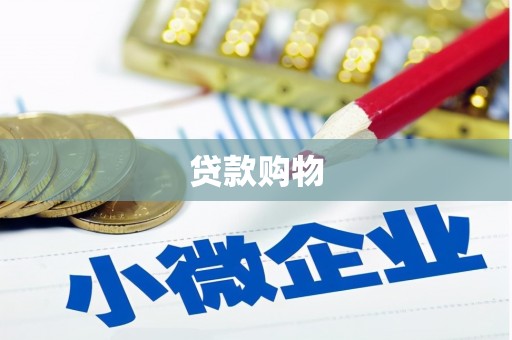 安南贷款购物