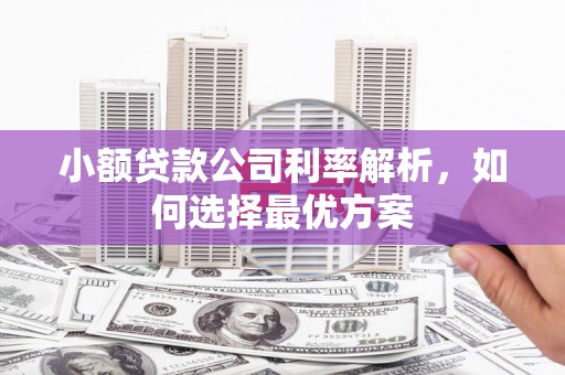 安南小额贷款公司利率解析，如何选择最优方案