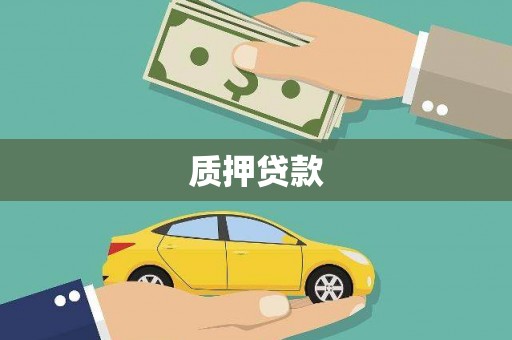安南质押贷款