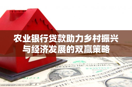安南农业银行贷款助力乡村振兴与经济发展的双赢策略