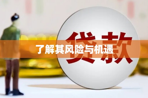 安南了解其风险与机遇