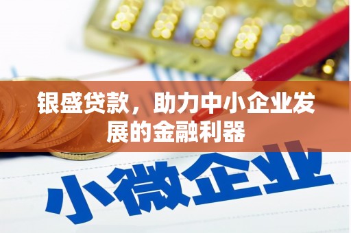 安南银盛贷款，助力中小企业发展的金融利器