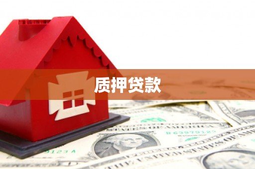 安南质押贷款