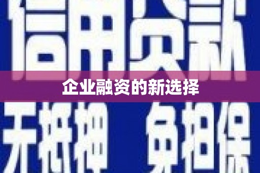 安南企业融资的新选择