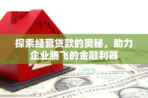 安南探索经营贷款的奥秘，助力企业腾飞的金融利器