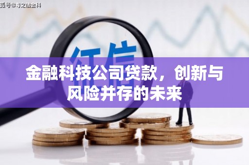 安南金融科技公司贷款，创新与风险并存的未来