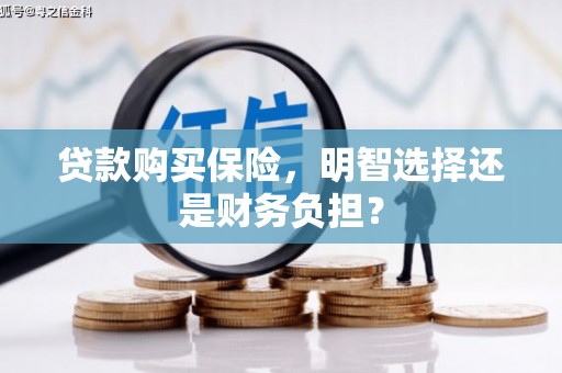 安南贷款购买保险，明智选择还是财务负担？
