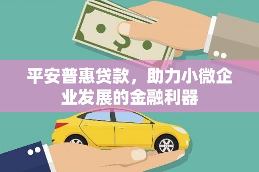 安南平安普惠贷款，助力小微企业发展的金融利器