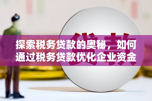安南探索税务贷款的奥秘，如何通过税务贷款优化企业资金流