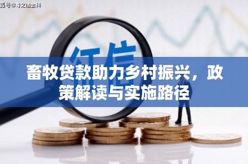 安南畜牧贷款助力乡村振兴，政策解读与实施路径