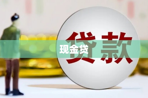 安南现金贷