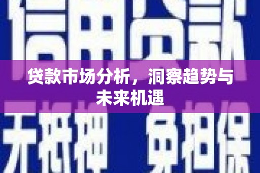 安南贷款市场分析，洞察趋势与未来机遇
