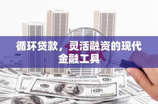 安南循环贷款，灵活融资的现代金融工具