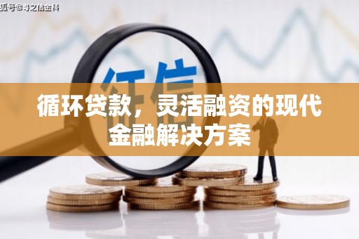 安南循环贷款，灵活融资的现代金融解决方案