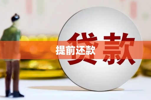 安南提前还款