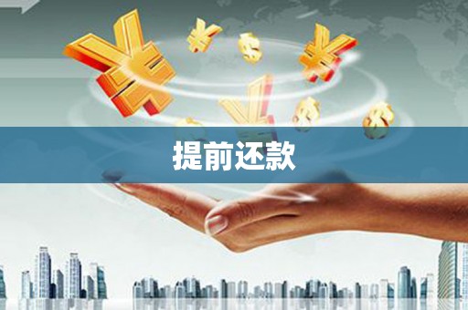安南提前还款