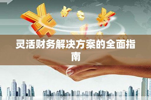 安南灵活财务解决方案的全面指南