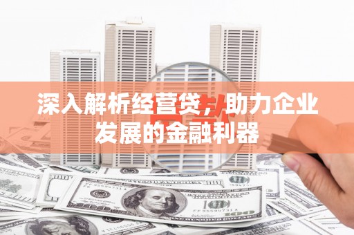 安南深入解析经营贷，助力企业发展的金融利器