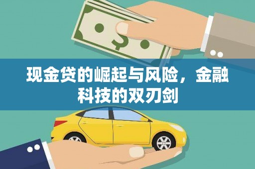 安南现金贷的崛起与风险，金融科技的双刃剑
